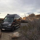 Review photo of Jumbo Rocks Campground — Joshua Tree National Park by Drea M., September 18, 2016