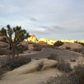 Review photo of Jumbo Rocks Campground — Joshua Tree National Park by Drea M., September 18, 2016
