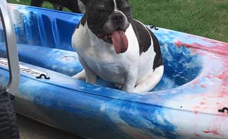 Erin R.'s photo of camping with pets at Pennyrile Forest State Resort Park near Cadiz, KY