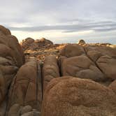 Review photo of Jumbo Rocks Campground — Joshua Tree National Park by Drea M., September 18, 2016