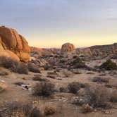 Review photo of Jumbo Rocks Campground — Joshua Tree National Park by Drea M., September 18, 2016