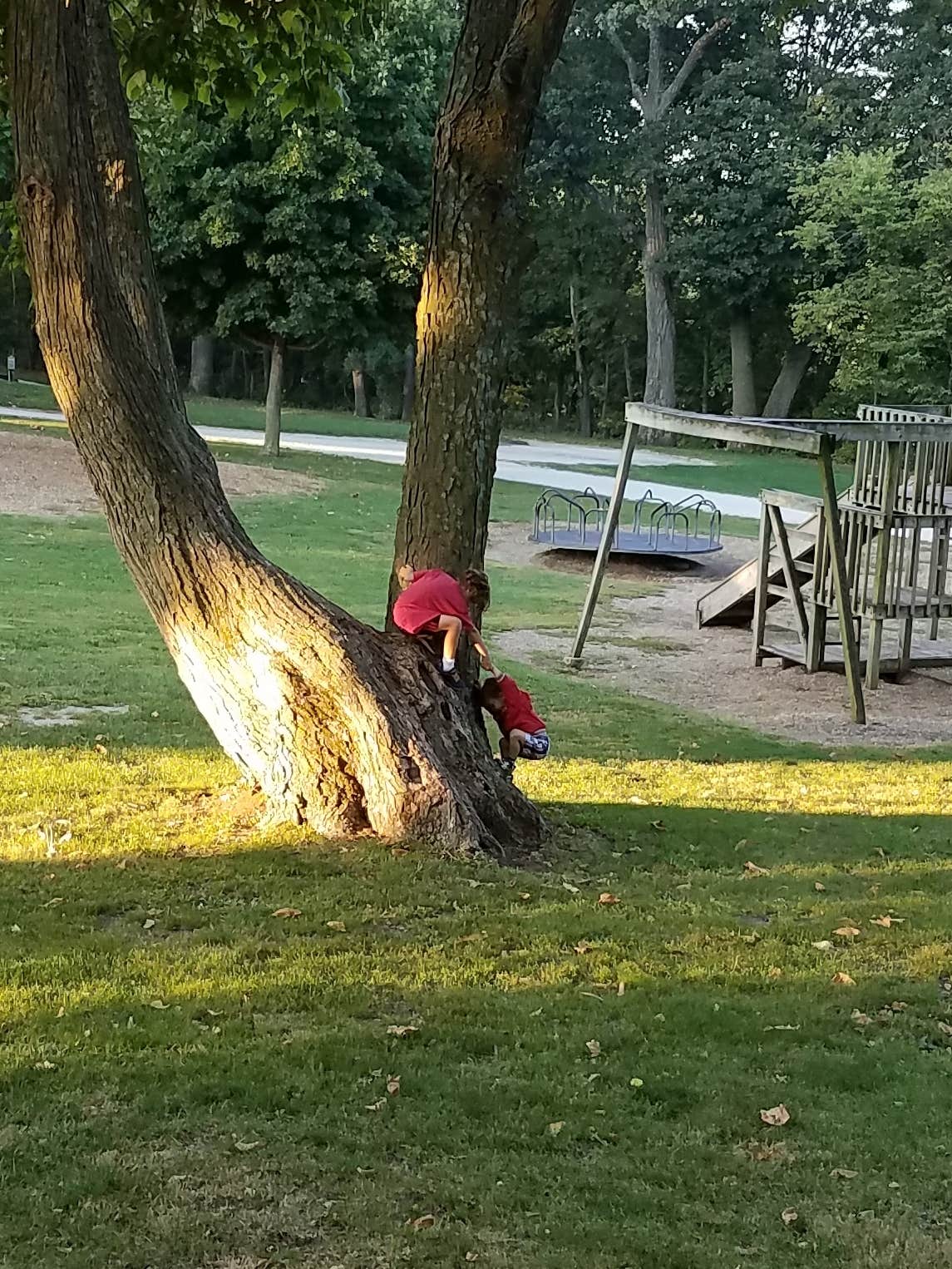 Camper-submitted photo at Timberline Campground near Woodburn, IA