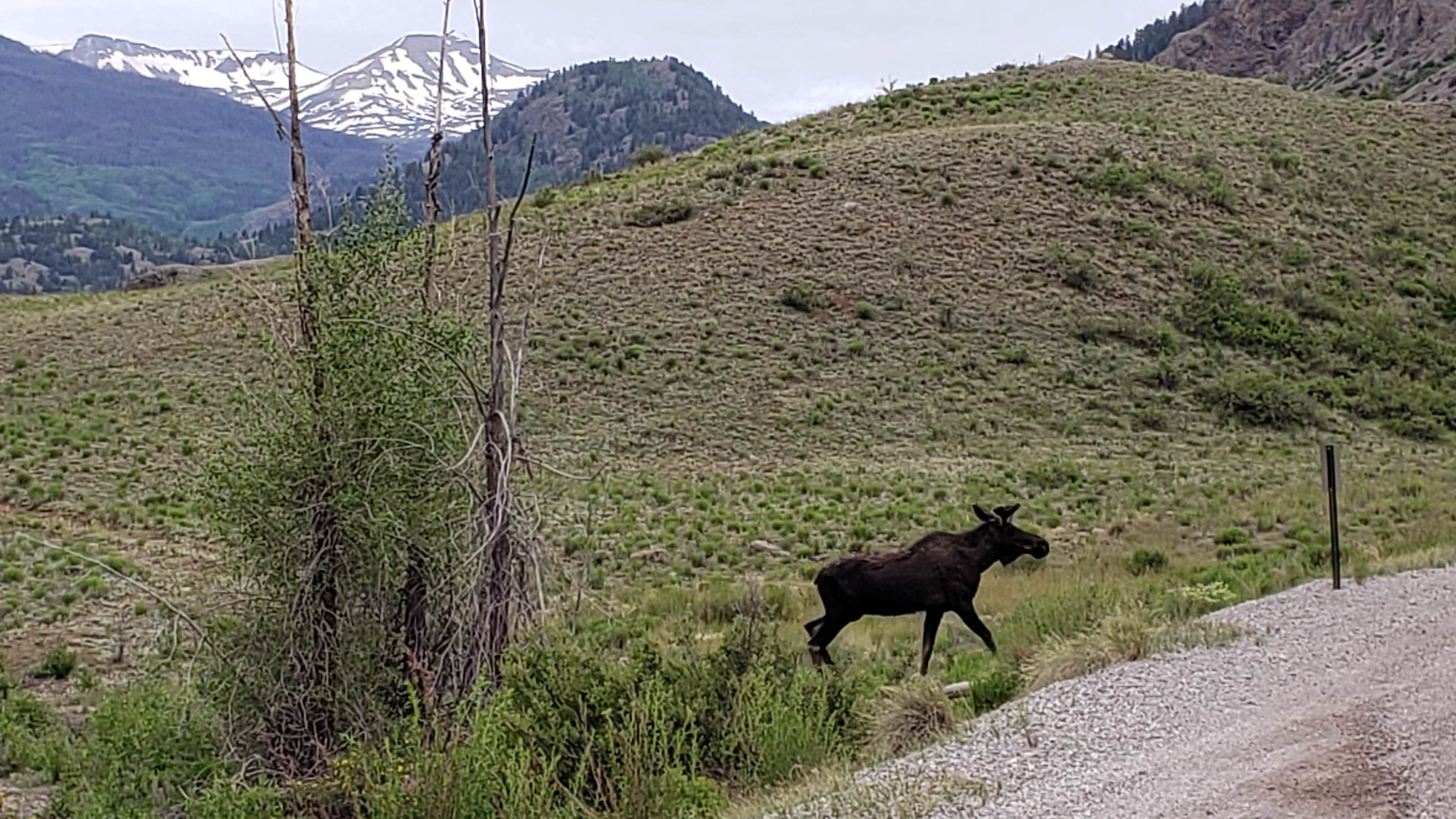 Camper-submitted photo at Castle Lakes Campground near Lake City, CO