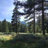 Review photo of Fallen Leaf Campground - South Lake Tahoe by Casey S., July 9, 2019