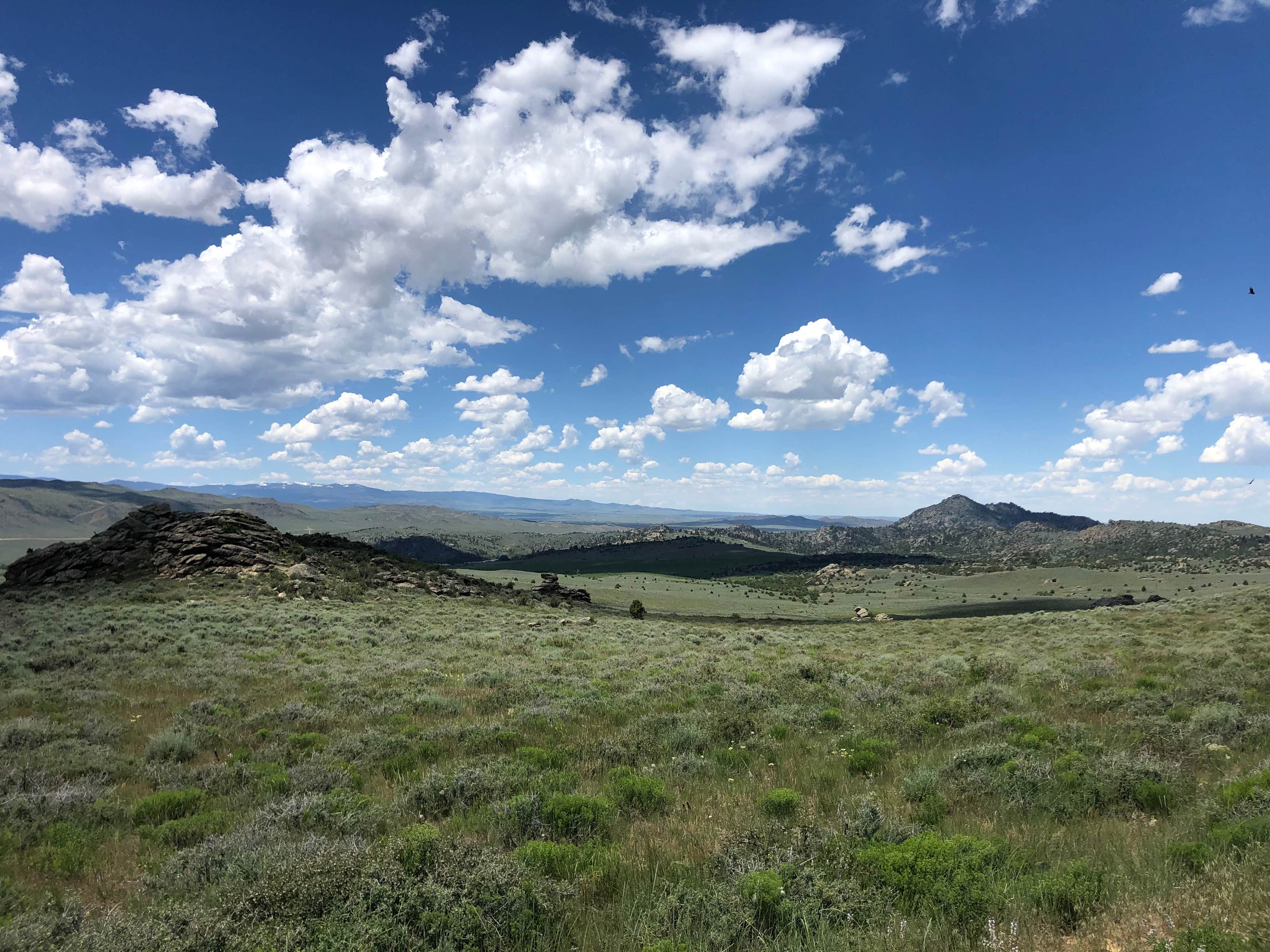 Peak Campground Camping The Dyrt