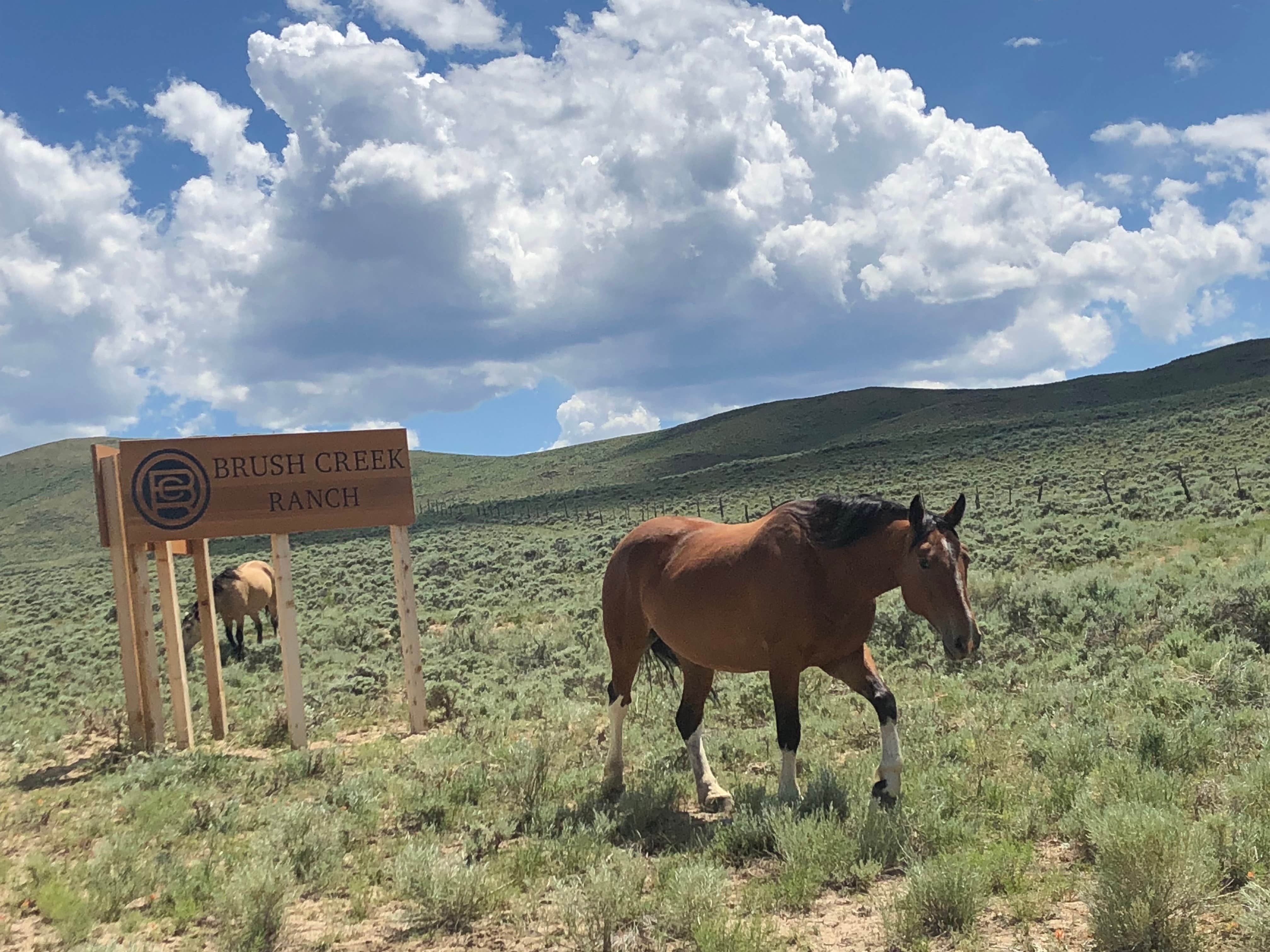 Camper-submitted photo at Bennett Creek Campground — Bureau Of Land Management near Encampment, WY