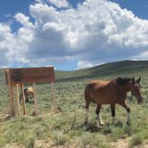 Review photo of Bennett Creek Campground — Bureau Of Land Management by Derek S., July 9, 2019