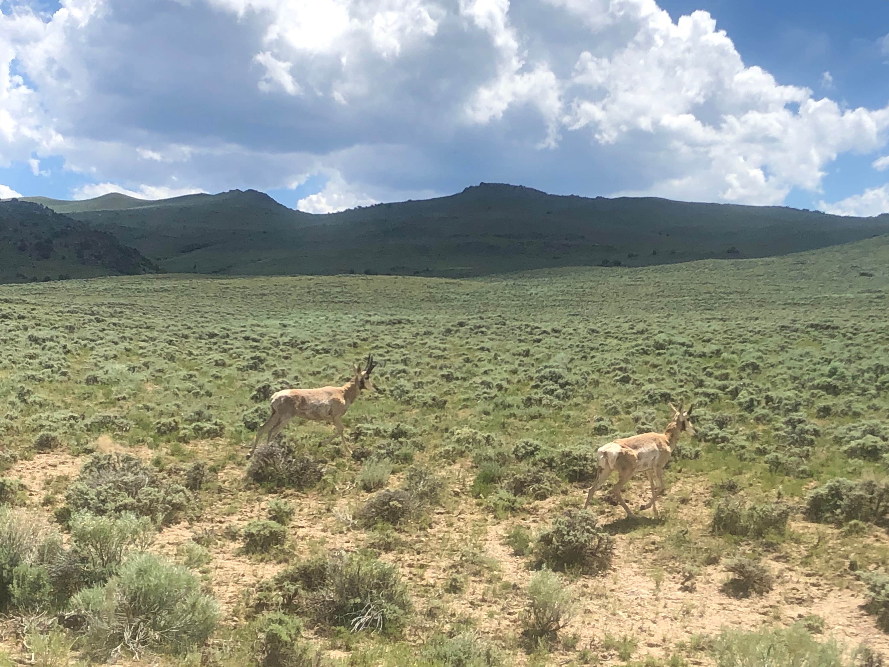 Camper-submitted photo at Bennett Creek Campground — Bureau Of Land Management near Encampment, WY