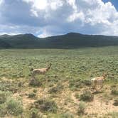 Review photo of Bennett Creek Campground — Bureau Of Land Management by Derek S., July 9, 2019