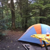 Review photo of Avalanche Campground — Glacier National Park by Heidi P., September 18, 2016