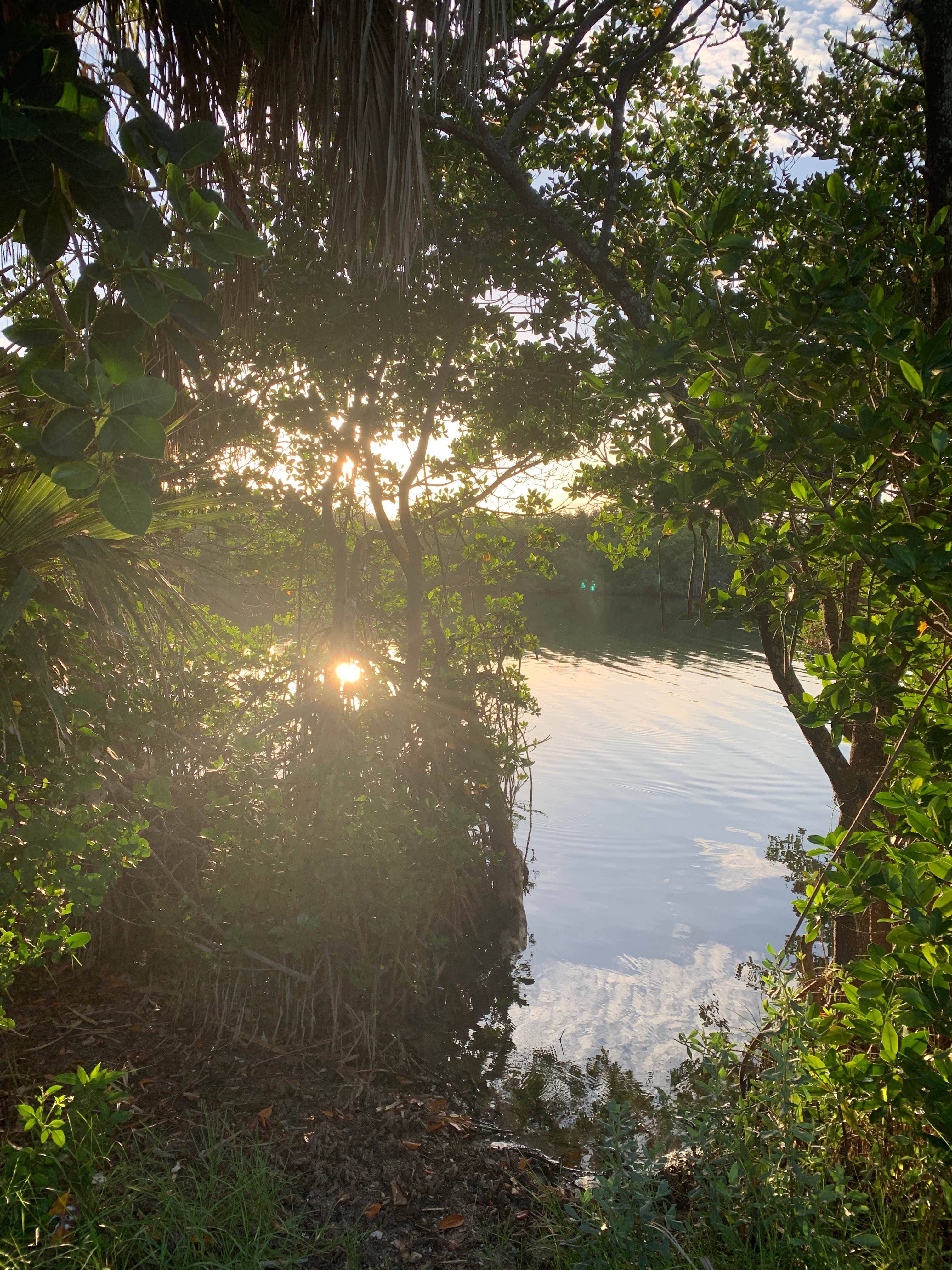 Camper submitted image from Long Point Park Campground - 3