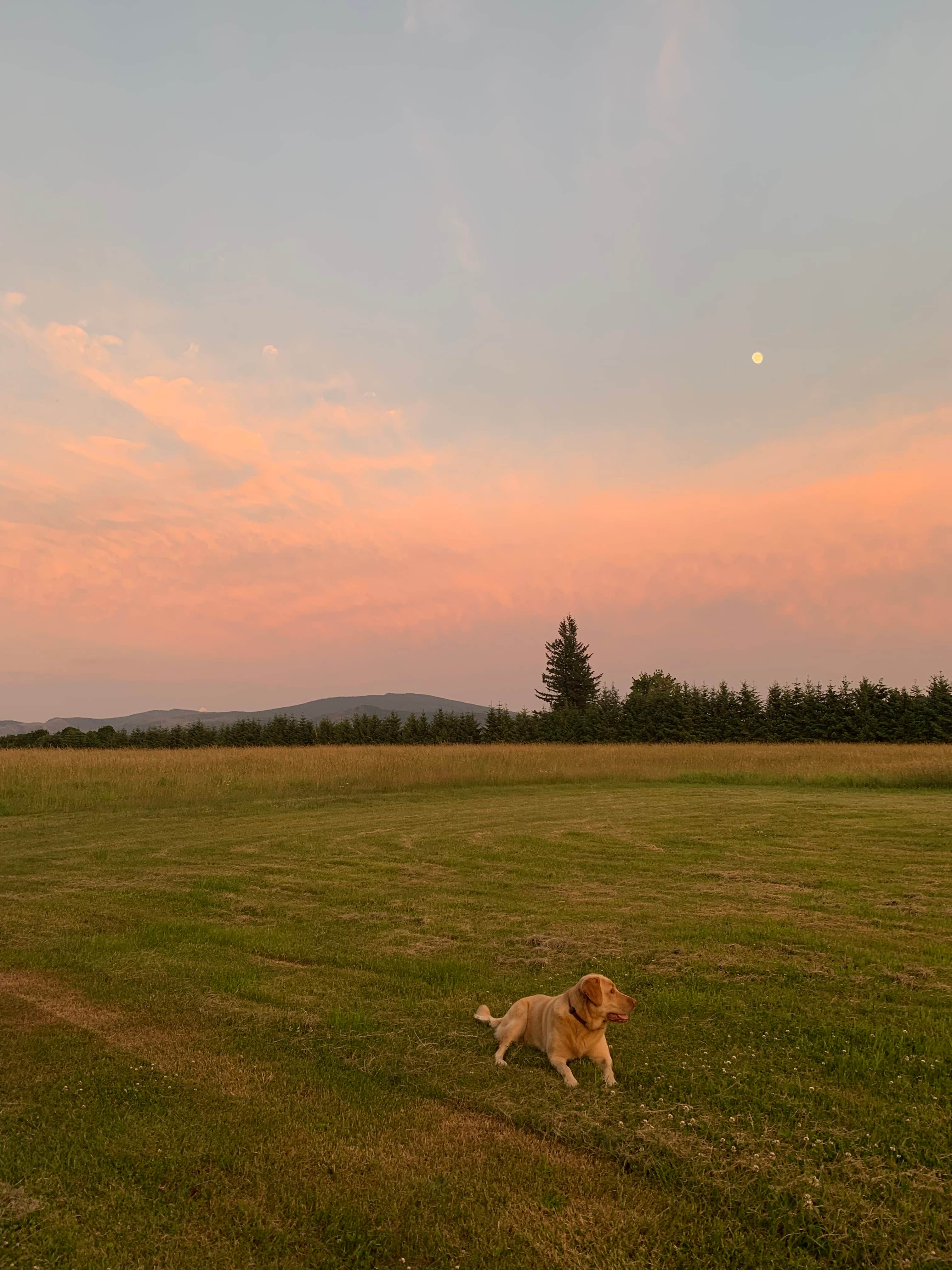 Camping near Sandy Riverfront RV Resort: Silver Star Ranch, Bridal Veil, Washington