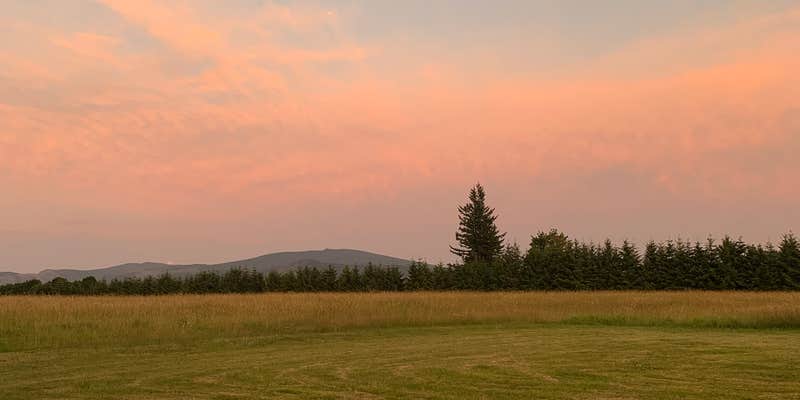 Camper submitted image from Silver Star Ranch