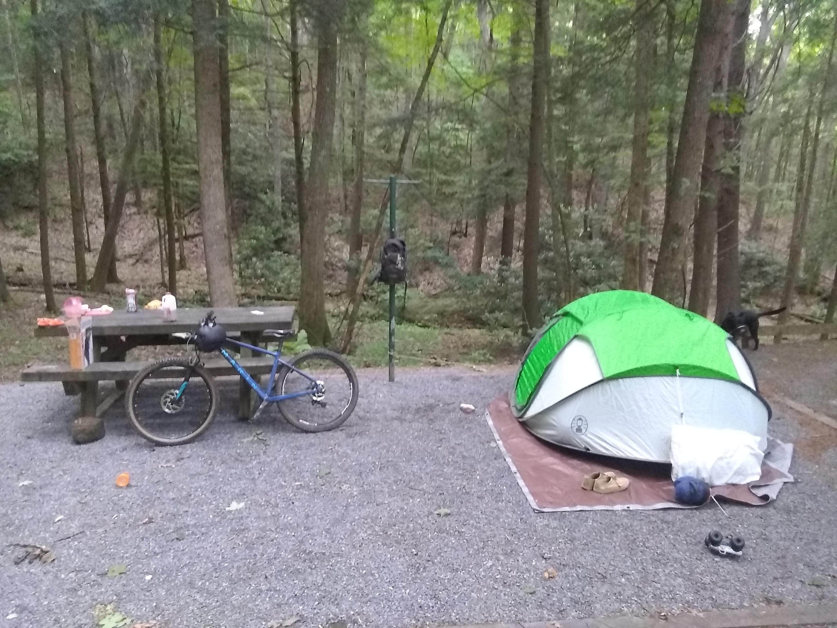 Tim R.'s photo at Hurricane Campground near Whitetop, VA