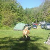 Review photo of Timber Trail Campground by Mel C., July 9, 2019