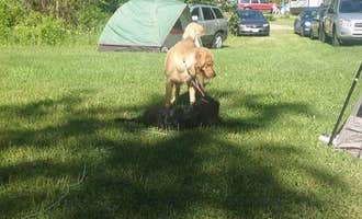 Camping near Waubedonia County Park: Timber Trail Campground, Kewaskum, Wisconsin