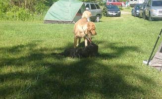 Mel C.'s photo of camping with pets at Timber Trail Campground near Waukesha, WI