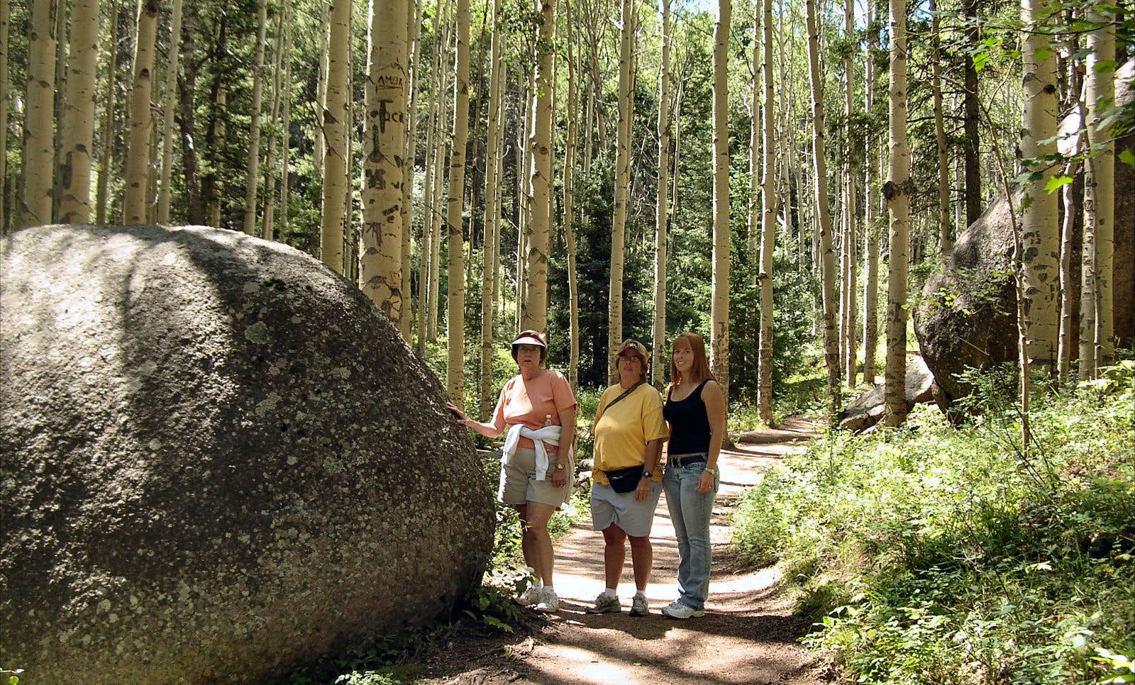 Camper submitted image from Devil's Head Campground - 4