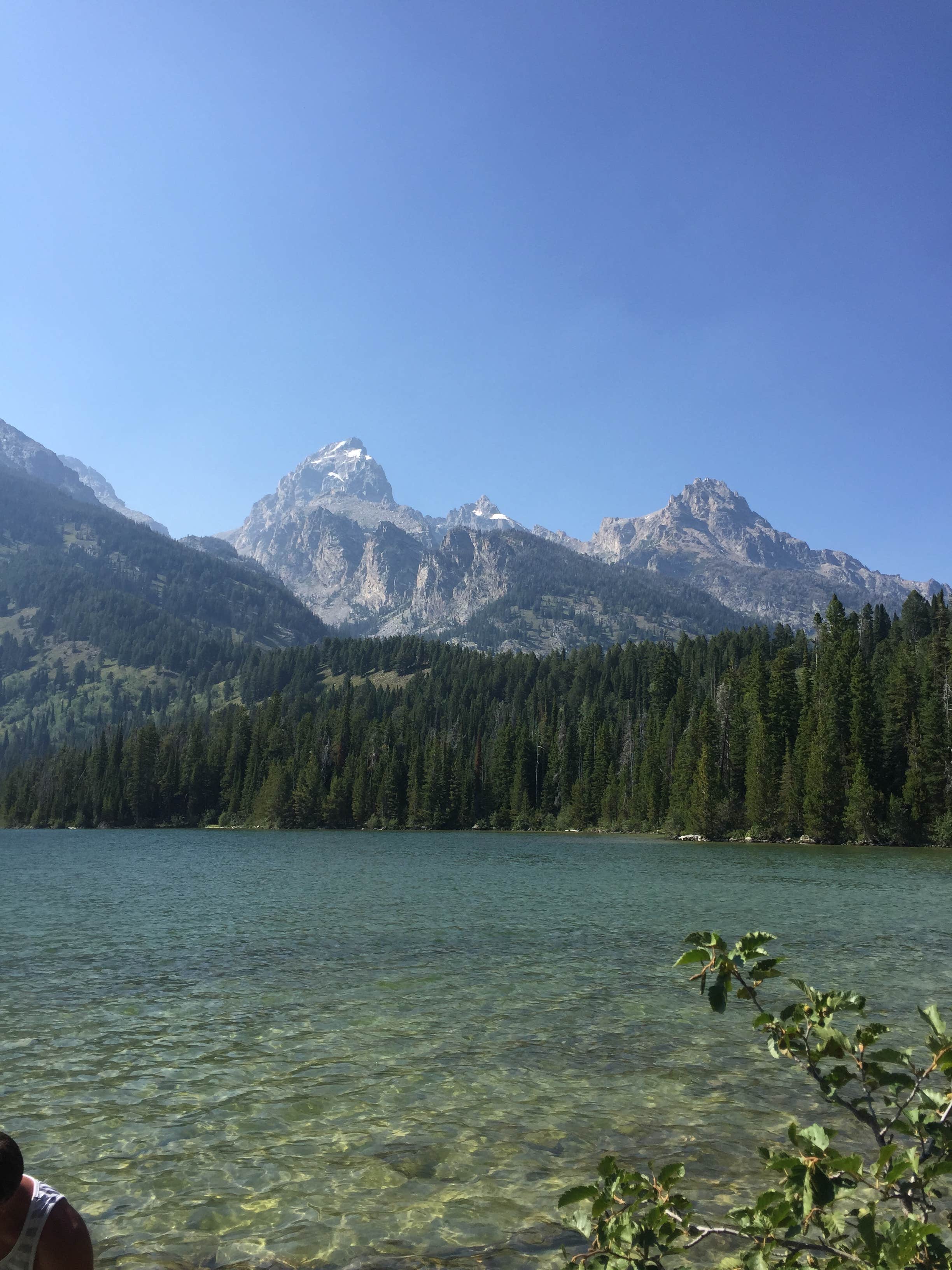 Camper submitted image from Colter Bay Campground at Colter Bay Village - Grand Teton National Park - 5