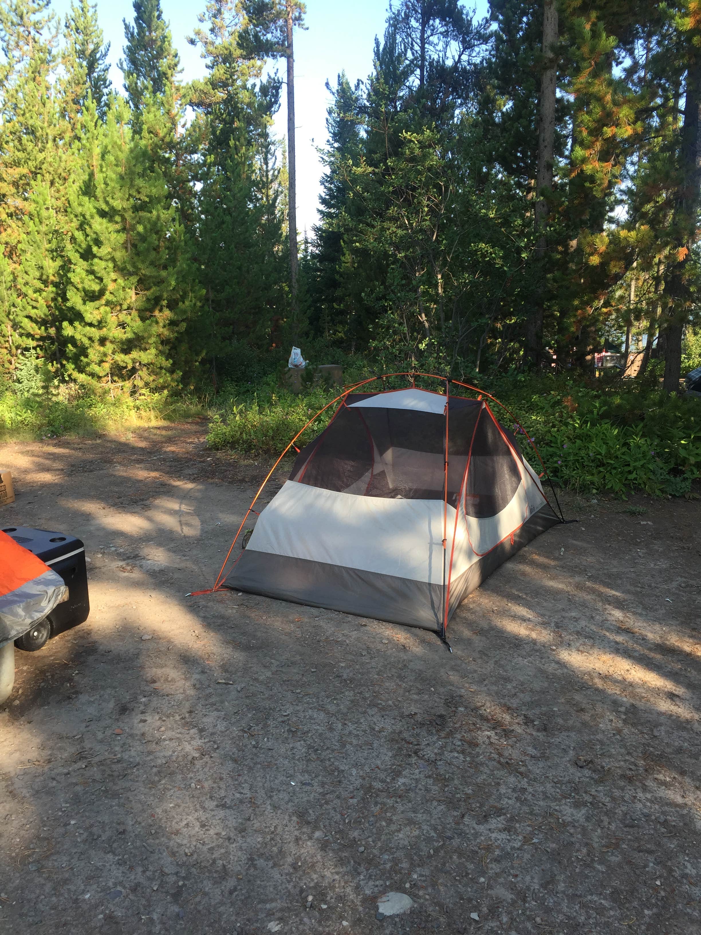Cassandra B.'s photo at Colter Bay Campground at Colter Bay Village - Grand Teton National Park near Grand Teton National Park
