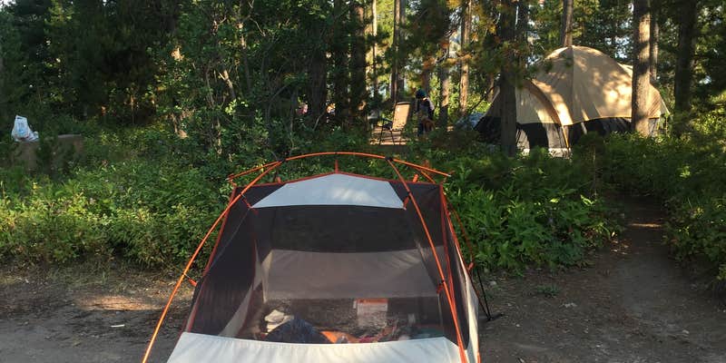 Camper submitted image from Colter Bay Campground at Colter Bay Village - Grand Teton National Park