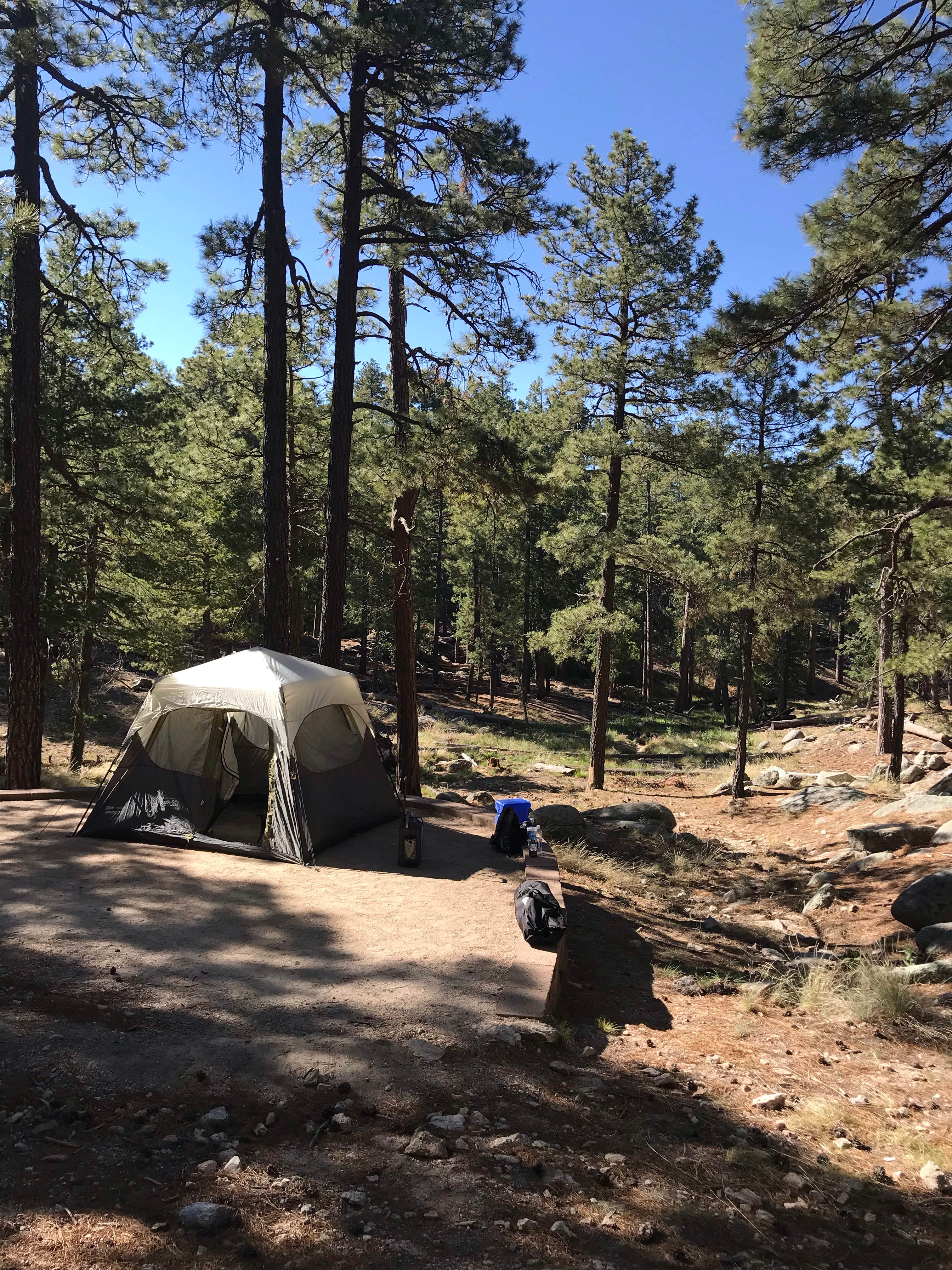 Marc S.'s photo at Whitetail Campground near Tucson, AZ