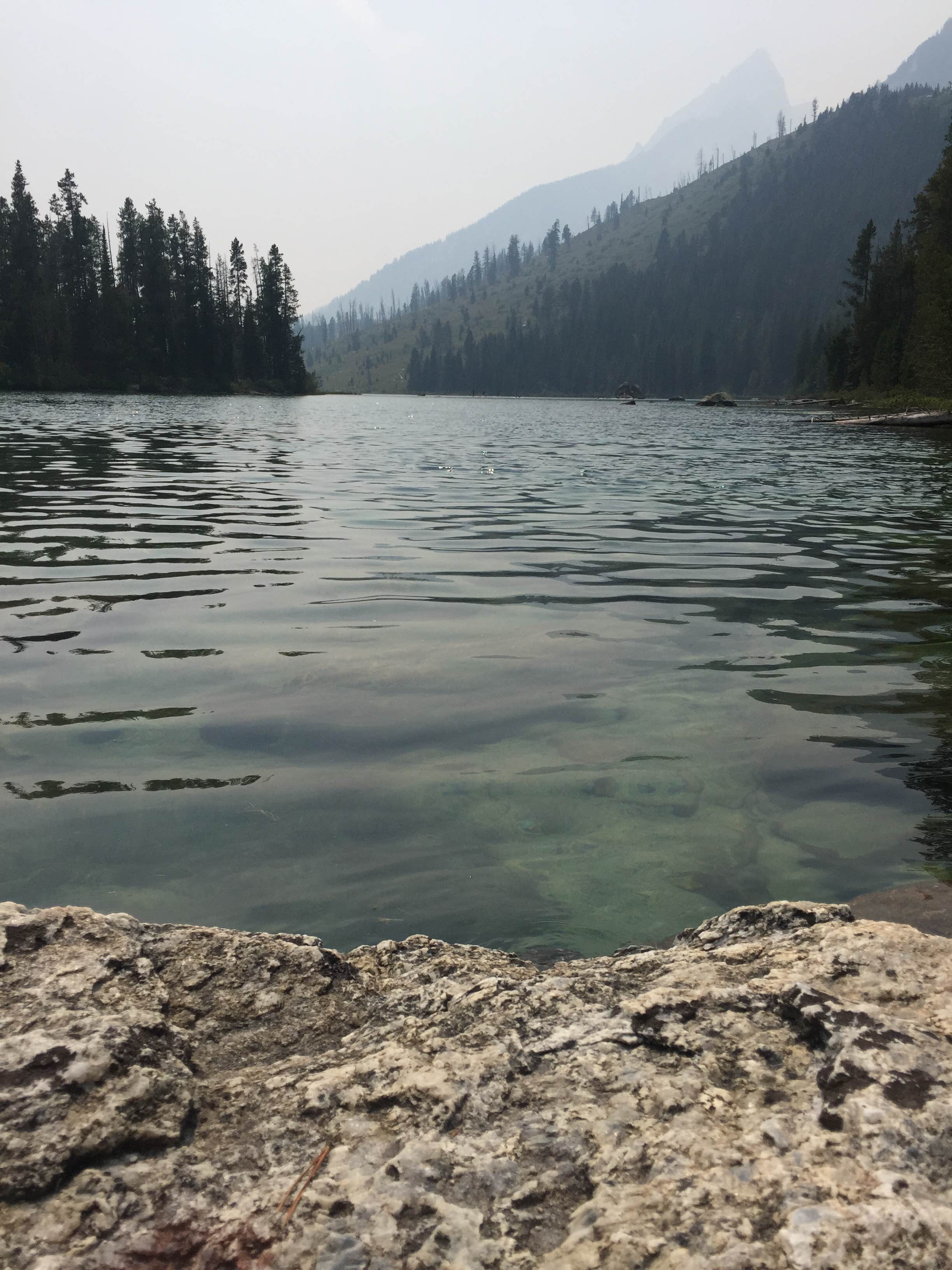 Water