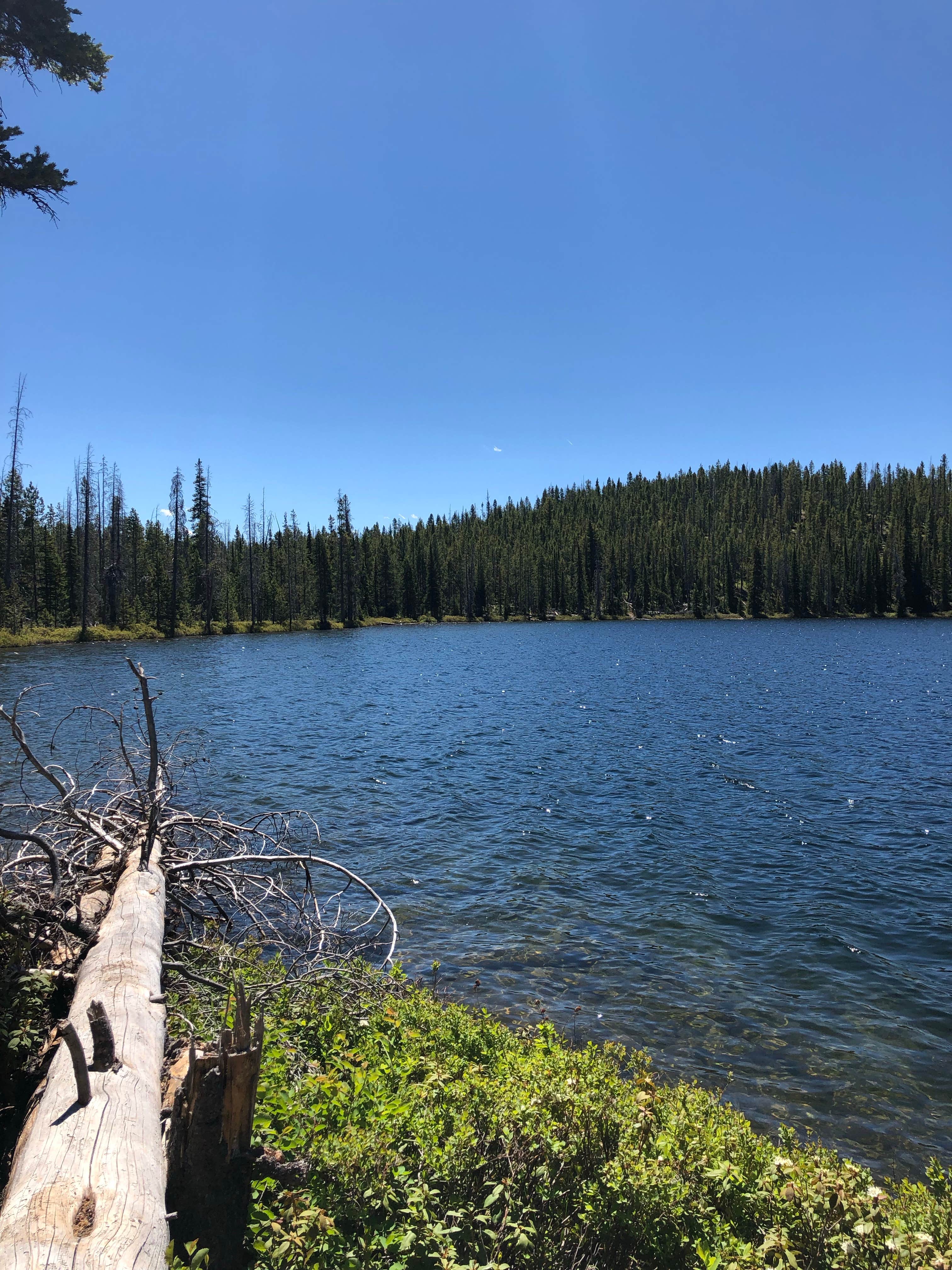 Camper-submitted photo at Sockeye Campground near Stanley, ID