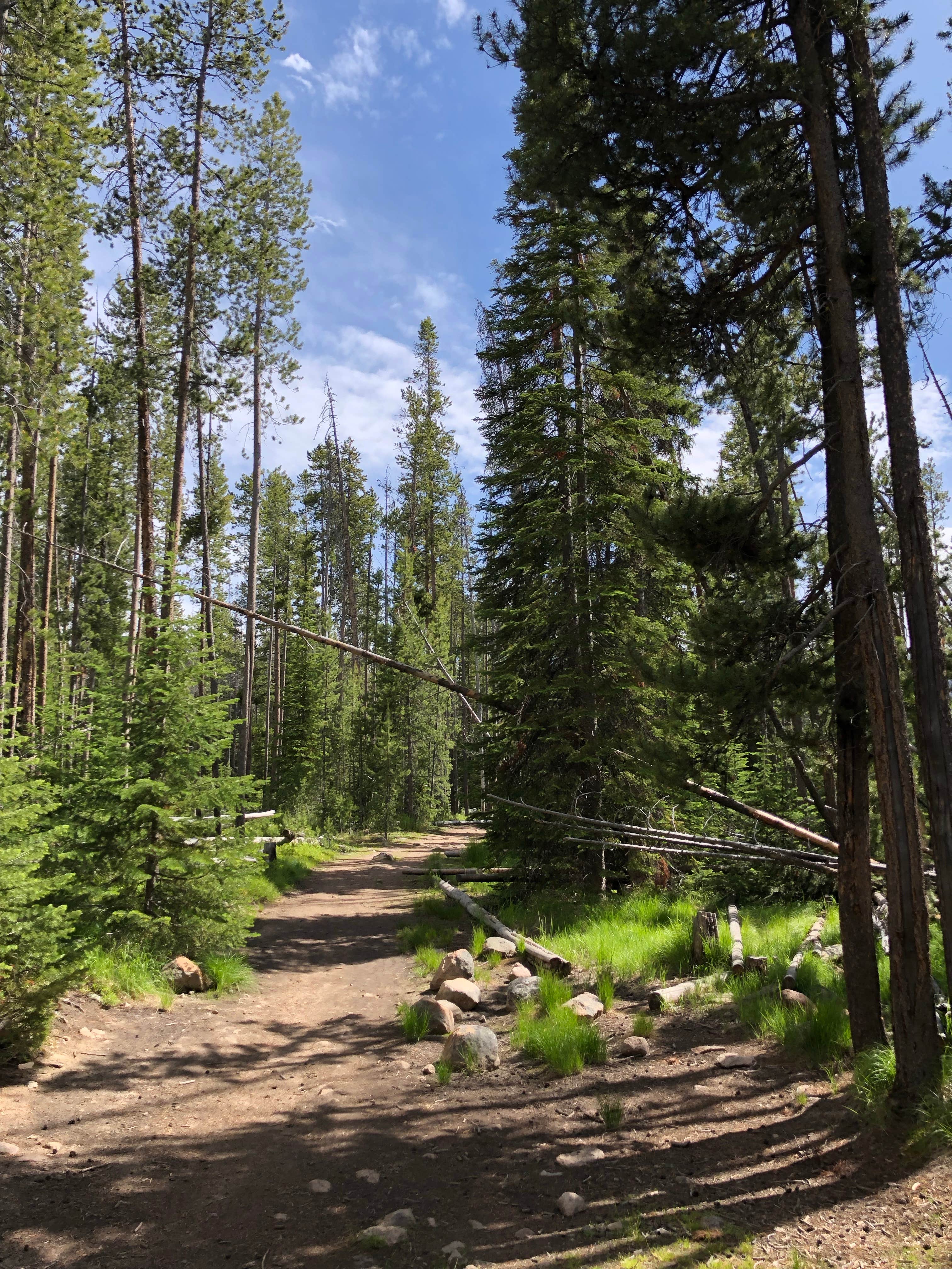 Camper-submitted photo at Sockeye Campground near Stanley, ID