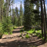 Review photo of Sockeye Campground by Cassandra B., July 7, 2019