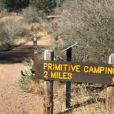 Review photo of Moss Lake Area — Enchanted Rock State Natural Area by Lisa B., July 9, 2019