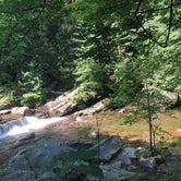 Review photo of Jake Best Campground by Mickey L., July 9, 2019