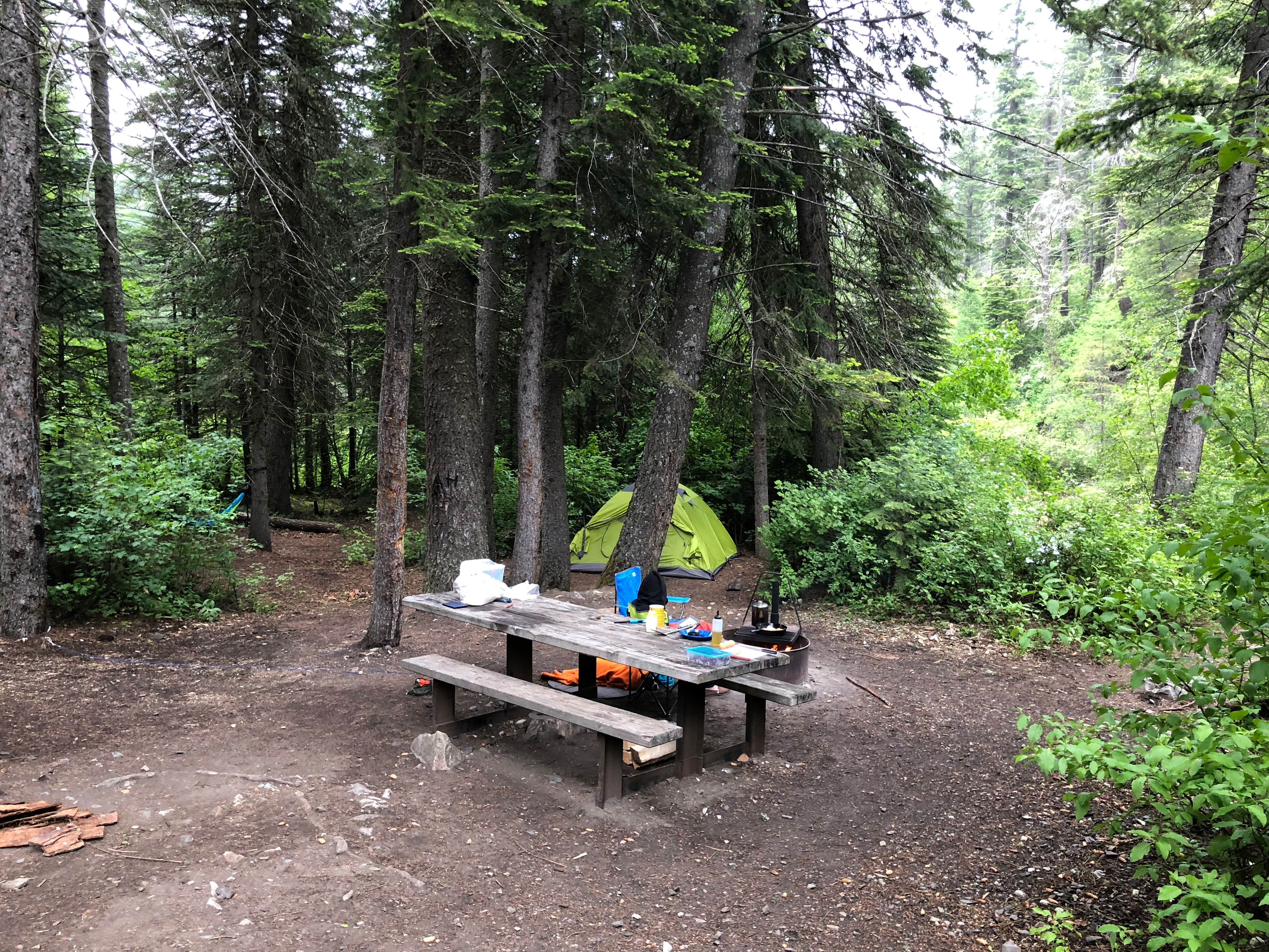 Justin P.'s photo of tent camping at Hurricane Creek Campground near Island City, OR
