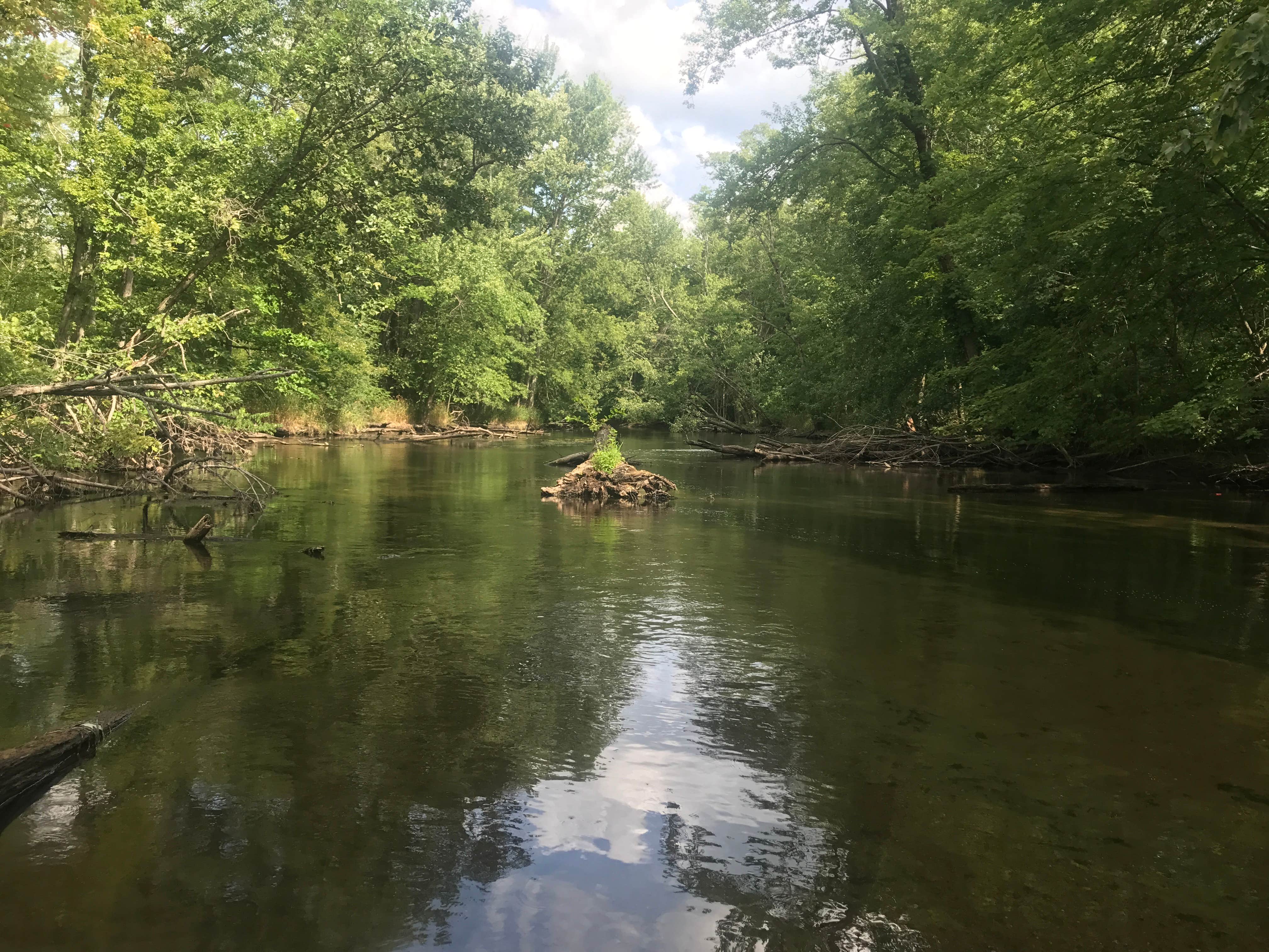 Camper-submitted photo at Island Lake Recreation Area near New Hudson, MI