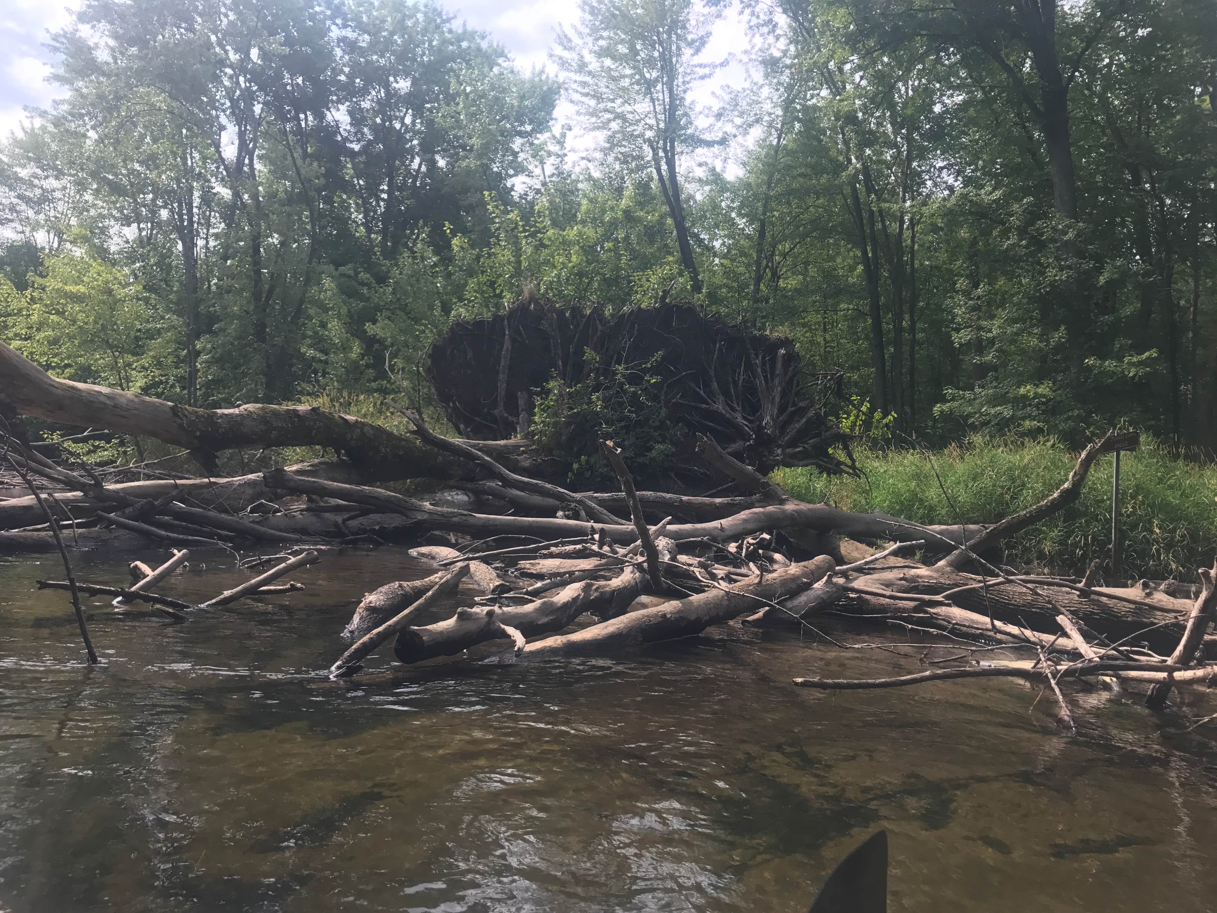 Camper-submitted photo at Island Lake Recreation Area near New Hudson, MI