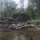 Review photo of Island Lake Recreation Area by Don H., July 9, 2019