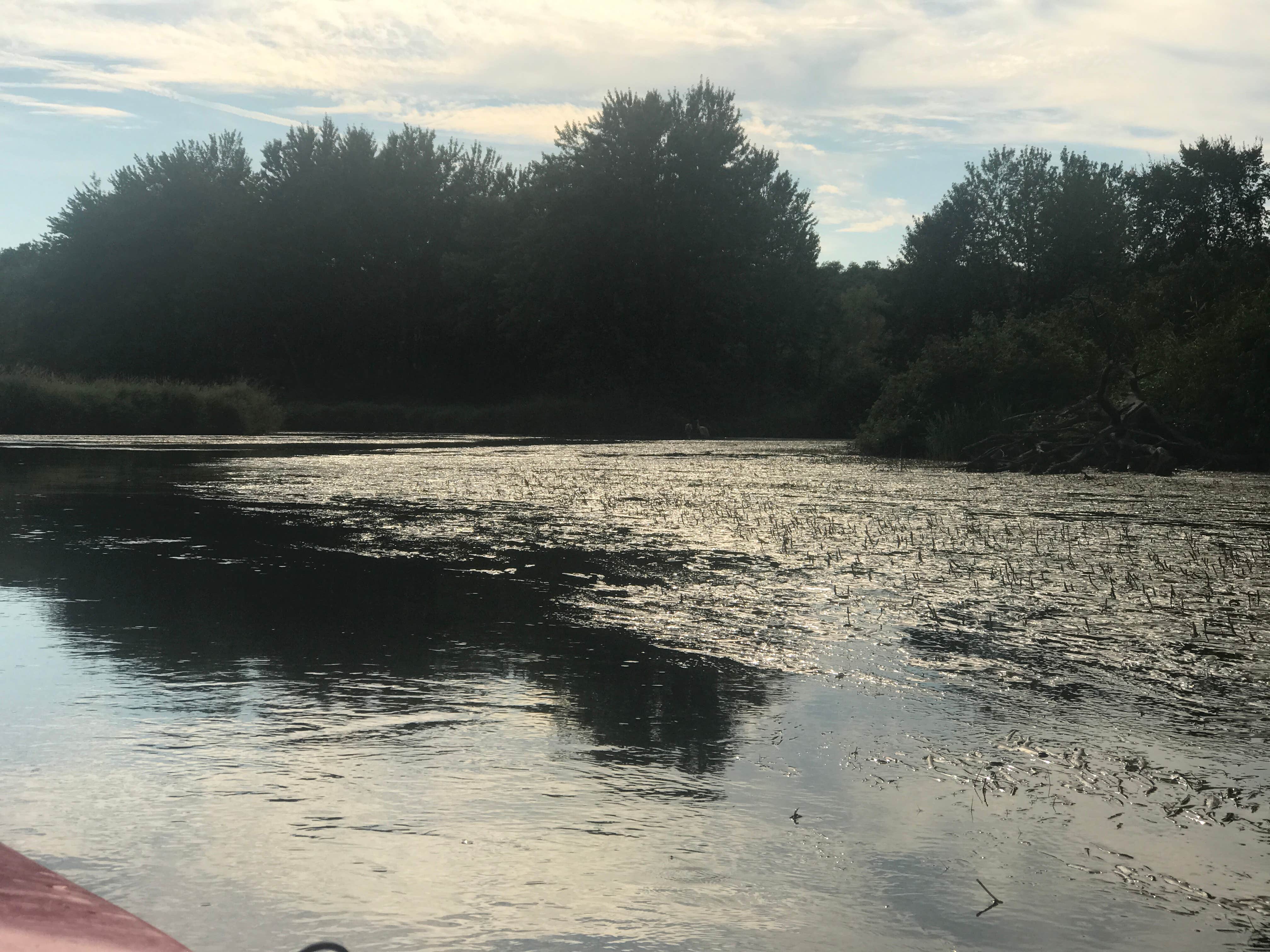 Camper-submitted photo at Island Lake Recreation Area near New Hudson, MI