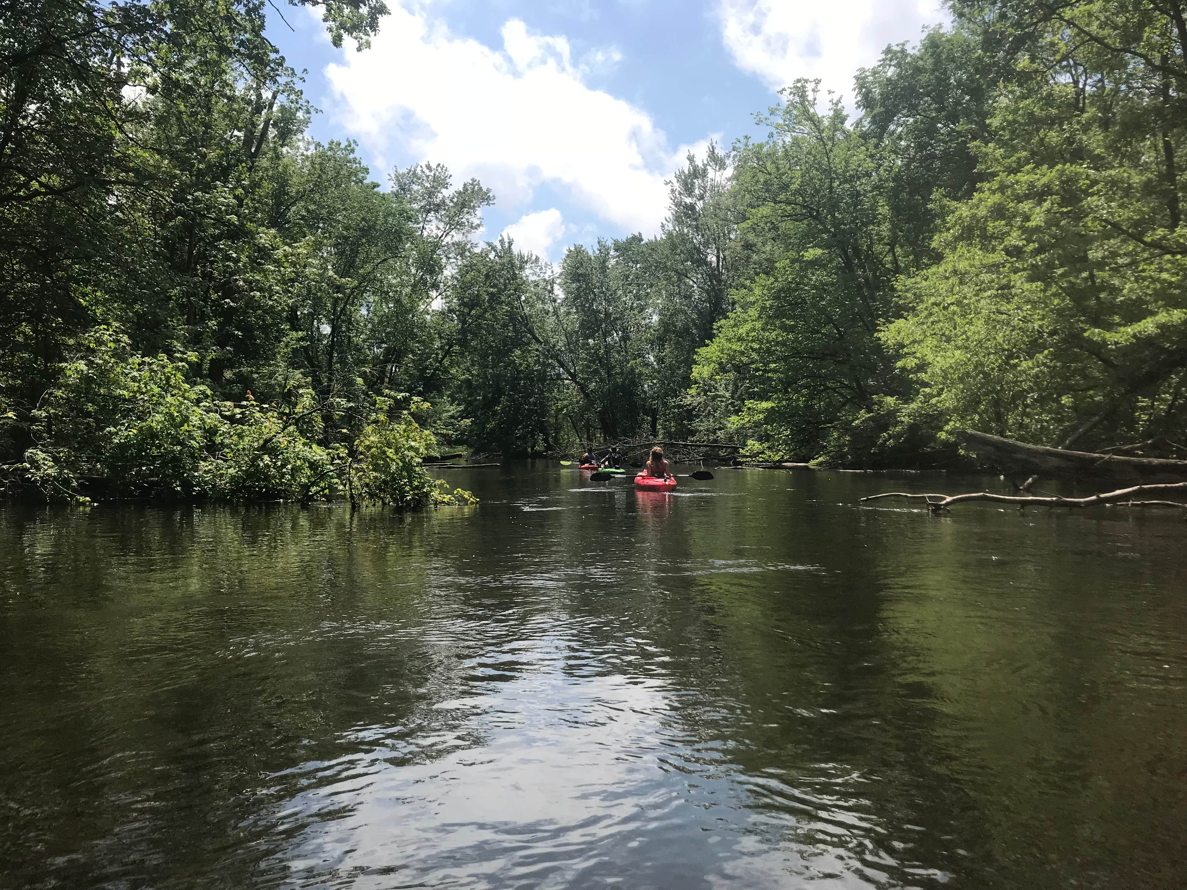 Camper submitted image from Island Lake Recreation Area - 1