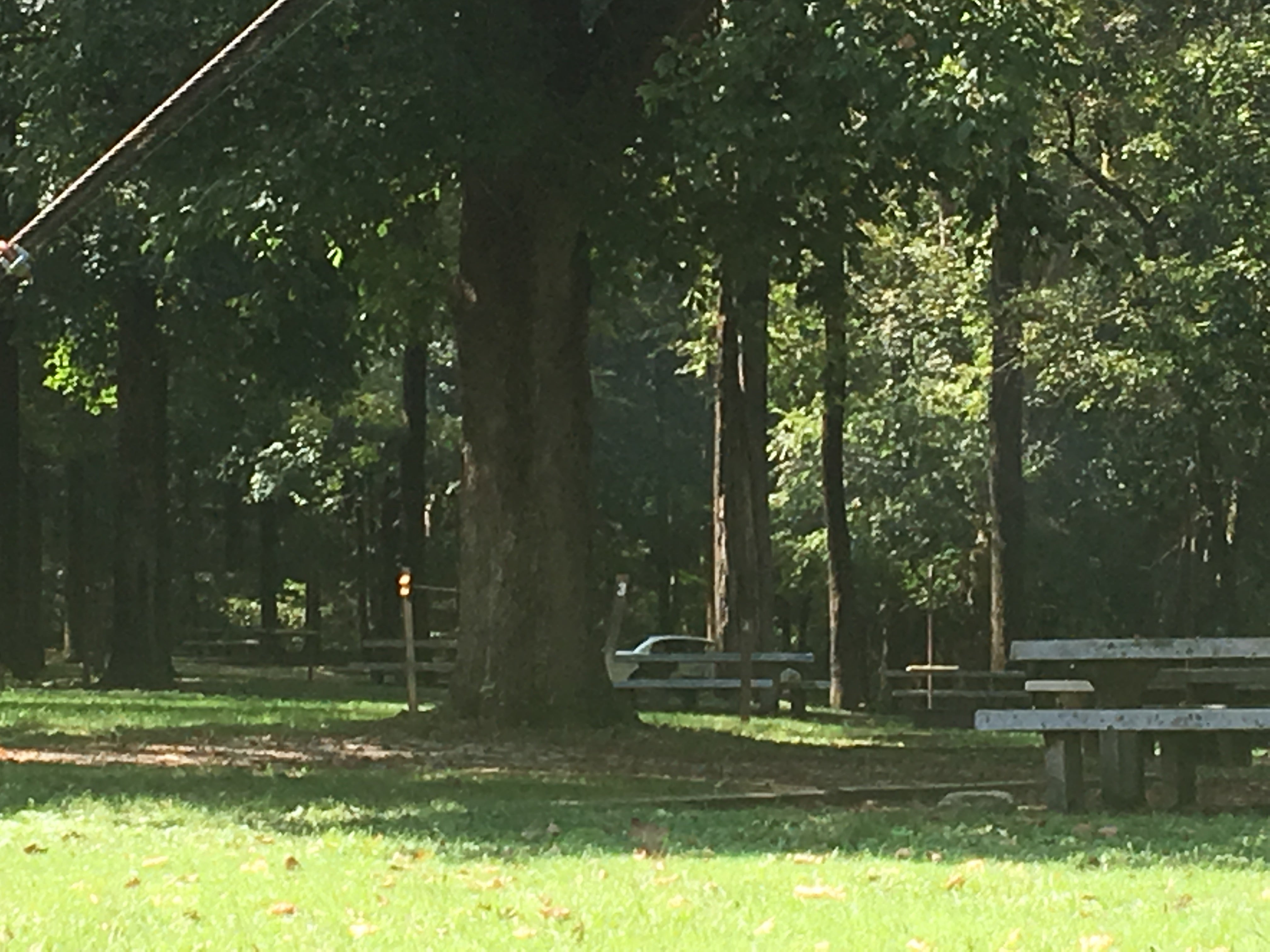 Camper submitted image from Houchin Ferry Campground — Mammoth Cave National Park - 5