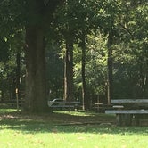 Review photo of Houchin Ferry Campground — Mammoth Cave National Park by Shelly S., September 18, 2016