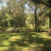 Review photo of Houchin Ferry Campground — Mammoth Cave National Park by Shelly S., September 18, 2016