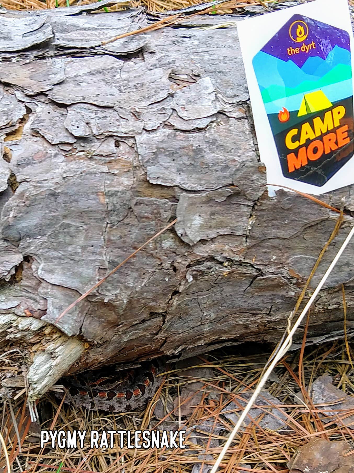 Camper-submitted photo at Baker Creek State Park Campground near Lincolnton, GA