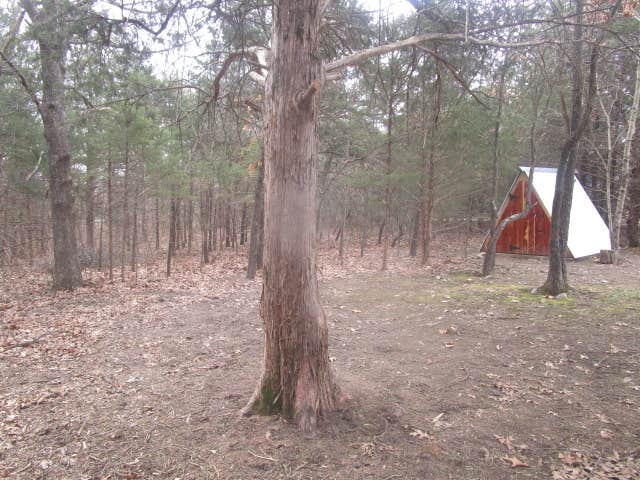 Teresa B.'s photo at B Berry Farms & Co. near Long Lane, MO