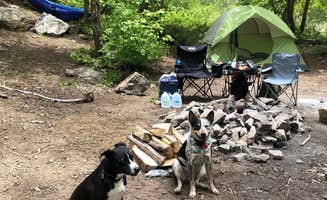 Kaela S.'s photo at Granite Flat (utah) near Cottonwood Heights, UT