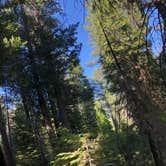 Review photo of Whisky Falls Campground by Alex L., July 9, 2019