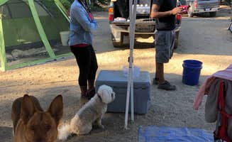 Alex L.'s photo at Whisky Falls Campground near Wishon, CA