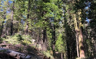 Alex L.'s photo of camping with pets at Whisky Falls Campground near Bass Lake, CA