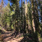 Review photo of Whisky Falls Campground by Alex L., July 9, 2019