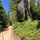 Review photo of Whisky Falls Campground by Alex L., July 9, 2019