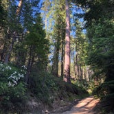Review photo of Whisky Falls Campground by Alex L., July 9, 2019